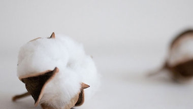 サステナブルコットンの使用比率１００％を目指します