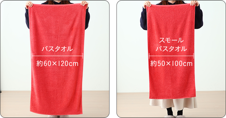 スモールバス比較